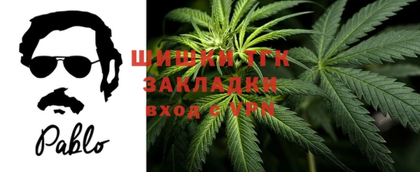 mdma Богородицк
