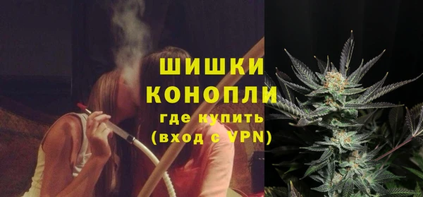 прущий лед Богданович
