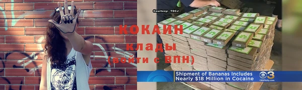 прущий лед Богданович