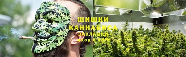 прущий лед Богданович