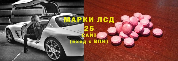 прущий лед Богданович